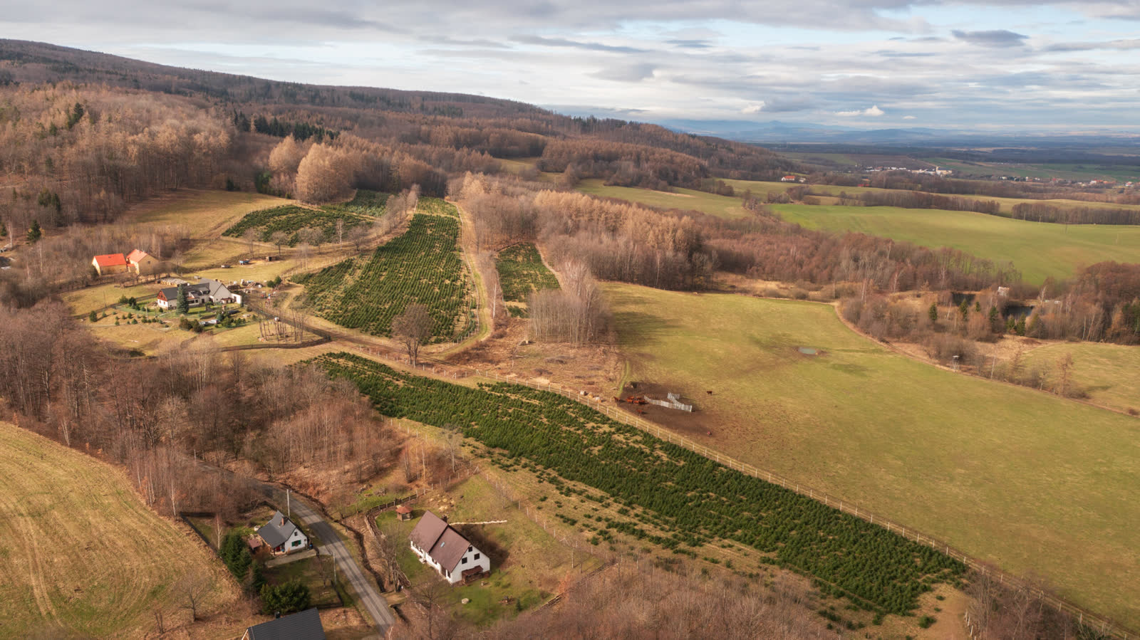Doma, kde rostou Vánoce. Panorama Rychlebských hor.